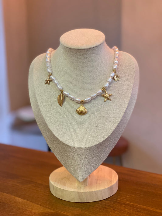 Collier Coquillage